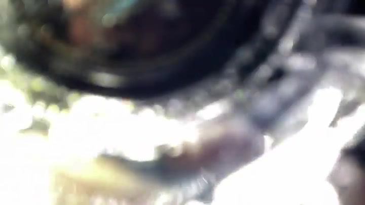 Bokeh Glare Light Leaks Transition Overlay 60fps