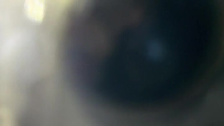 Paranoid Light Leaks Transition Overlay 60fps