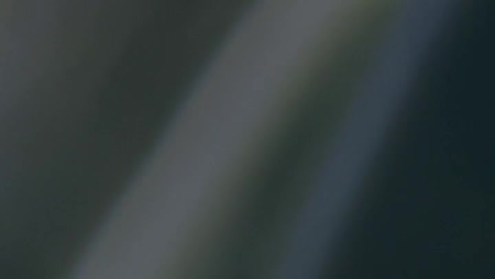 No Pattern Light Leaks Transition Overlay 60fps