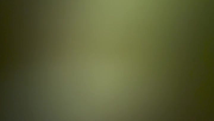 Pushy Light Leaks Transition Overlay 60fps