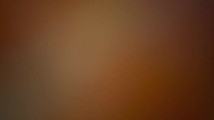 Holistic Light Leaks Transition Overlay 60fps