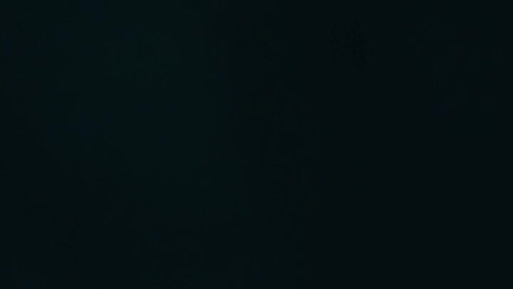 Speculum Light Leaks Transition Overlay 60fps