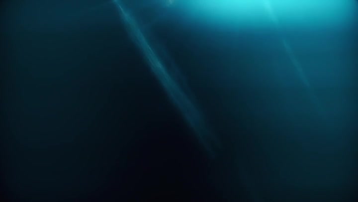 Party Light Leaks Transition Overlay 60fps