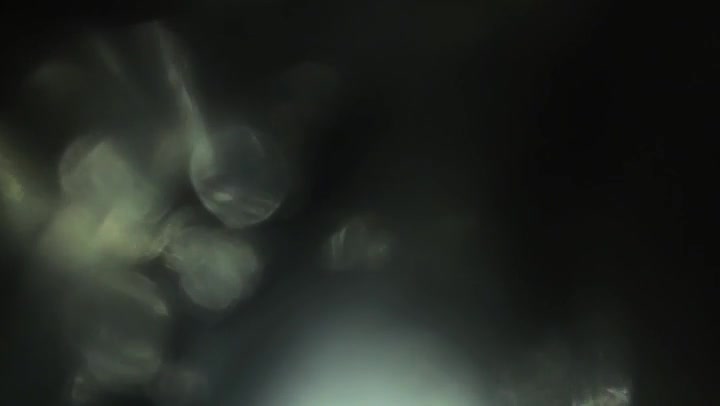 Multicolor Light Leaks Transition Overlay 60fps