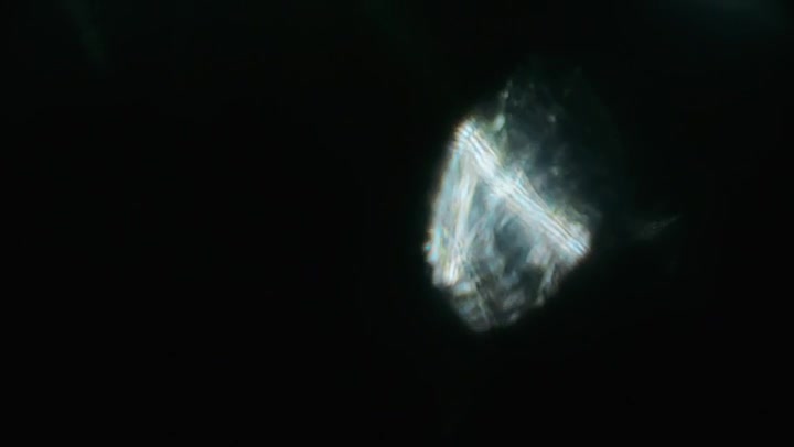 Heartbreaking Light Leaks Transition Overlay 60fps