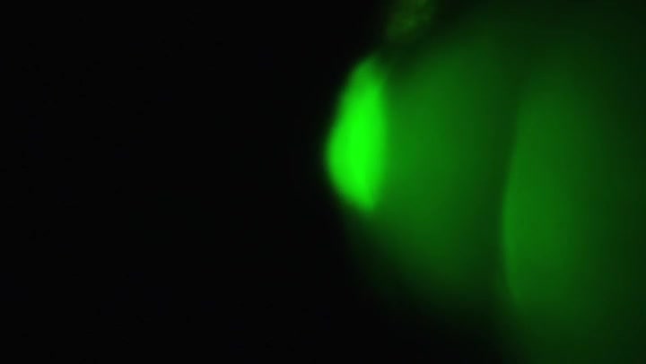 Curious Light Leaks Transition Overlay 60fps