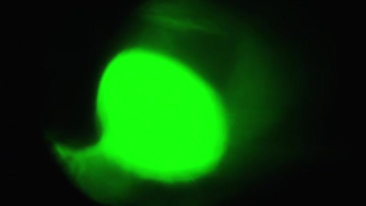 Endurable Light Leaks Transition Overlay 60fps