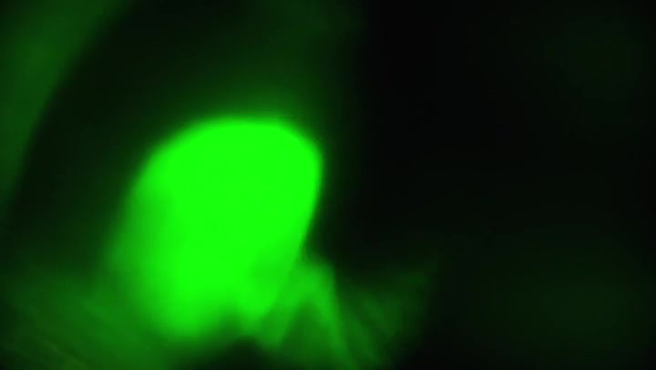 Seemly Light Leaks Transition Overlay 60fps