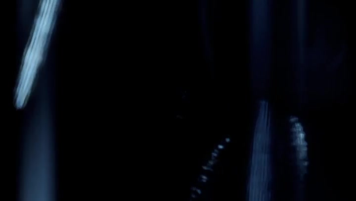 Various Light Leaks Transition Overlay 60fps