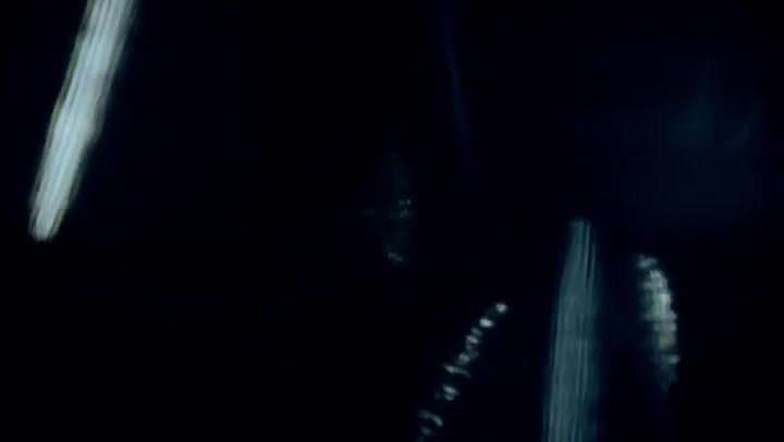 Whimsical Light Leaks Transition Overlay 60fps