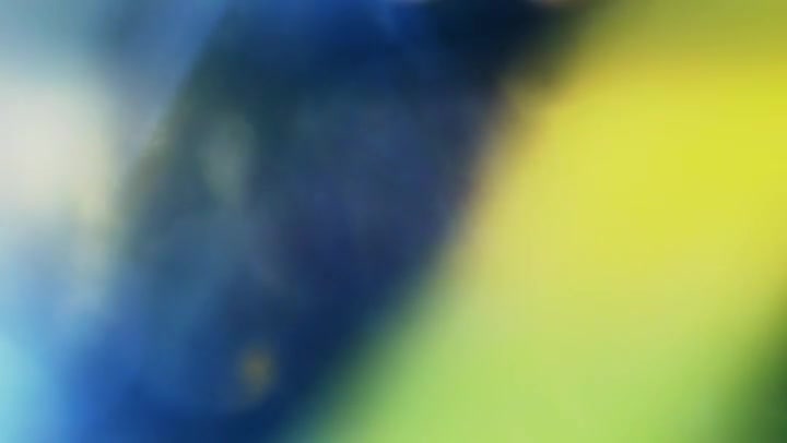 Frantic Light Leaks Transition Overlay 60fps