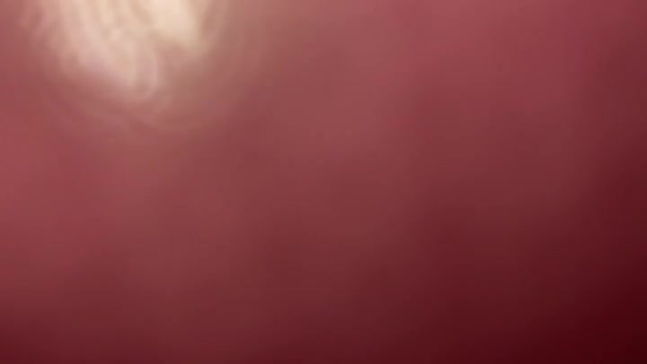 Assorted Light Leaks Transition Overlay 60fps